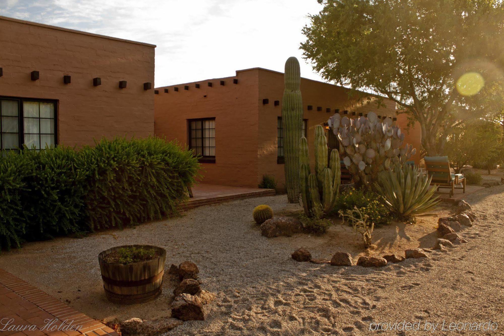 White Stallion Ranch Bed and breakfast Avra