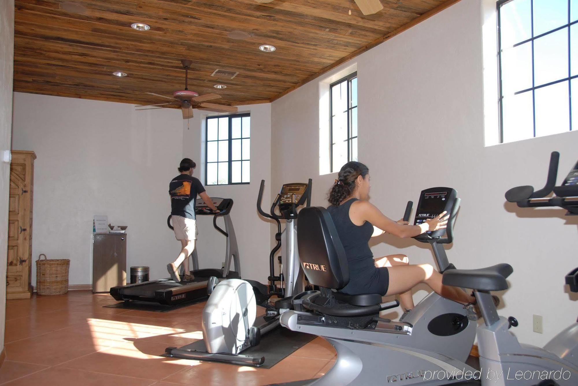 White Stallion Ranch Bed and breakfast Avra