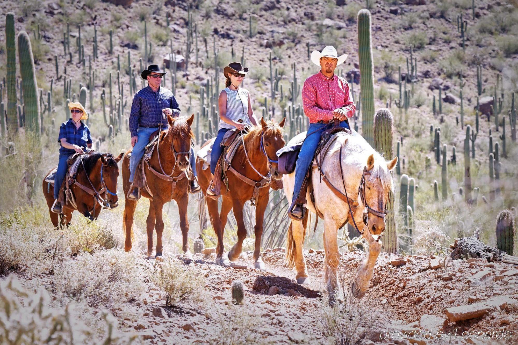 White Stallion Ranch Bed and breakfast 4*