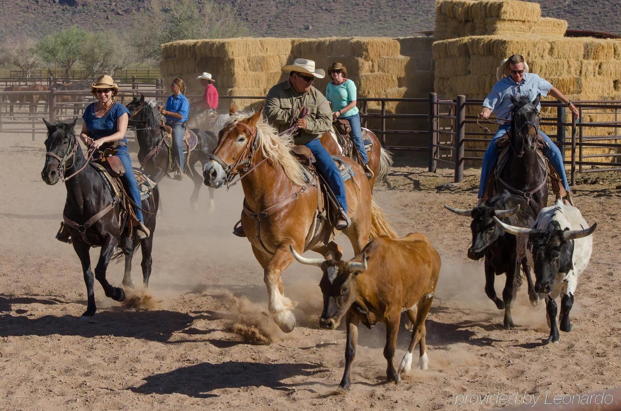 White Stallion Ranch Bed and breakfast 4*
