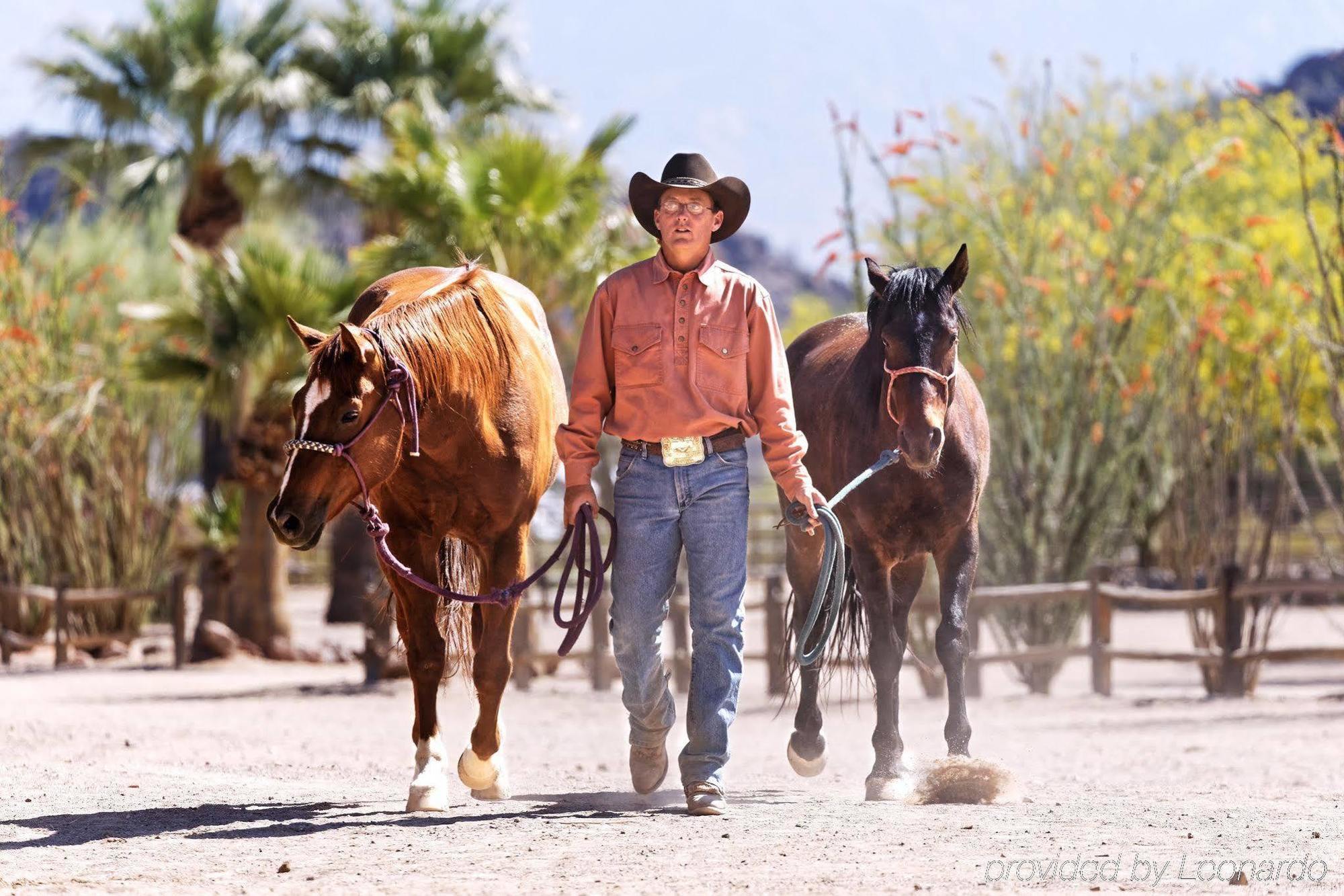 Bed and breakfast White Stallion Ranch 4*